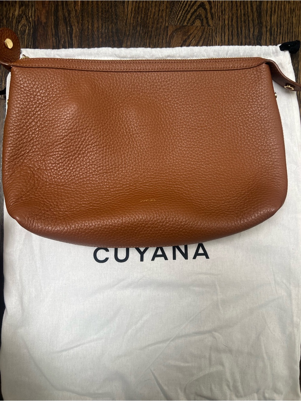 Cuyana Leather Pouch
